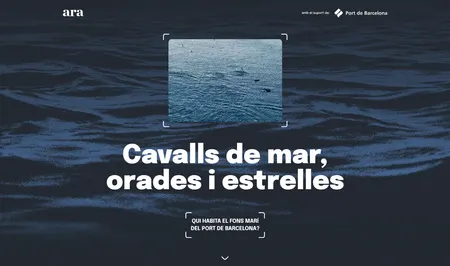 Qui habita el fons marí del Port de Barcelona